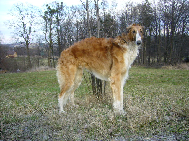 096ea0fea3_42015608_o2.jpg