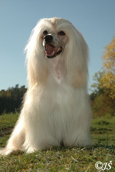 Cody 10_07 086_w.jpg